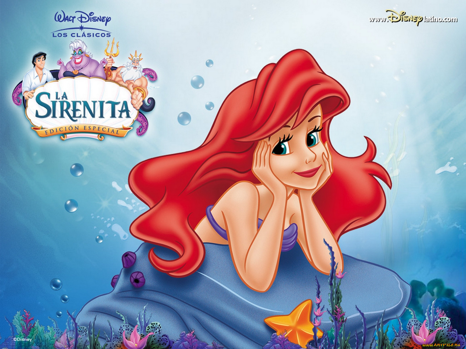 , the, little, mermaid